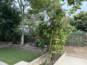 758DCCDF-A456-4C50-9E99-6C1CEC61E18F_1_105_c