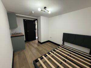 FD978DA5-B09C-4E92-A5D7-D3BB1BF46BBE_1_105_c